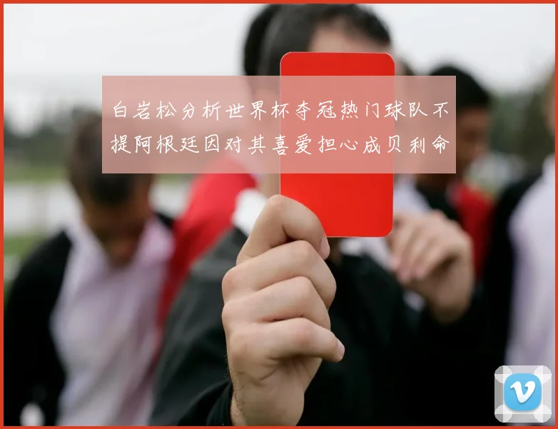 白岩松分析世界杯夺冠热门球队不提阿根廷因对其喜爱担心成贝利命运